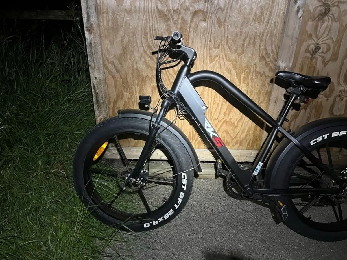 Electric bike - Image 3