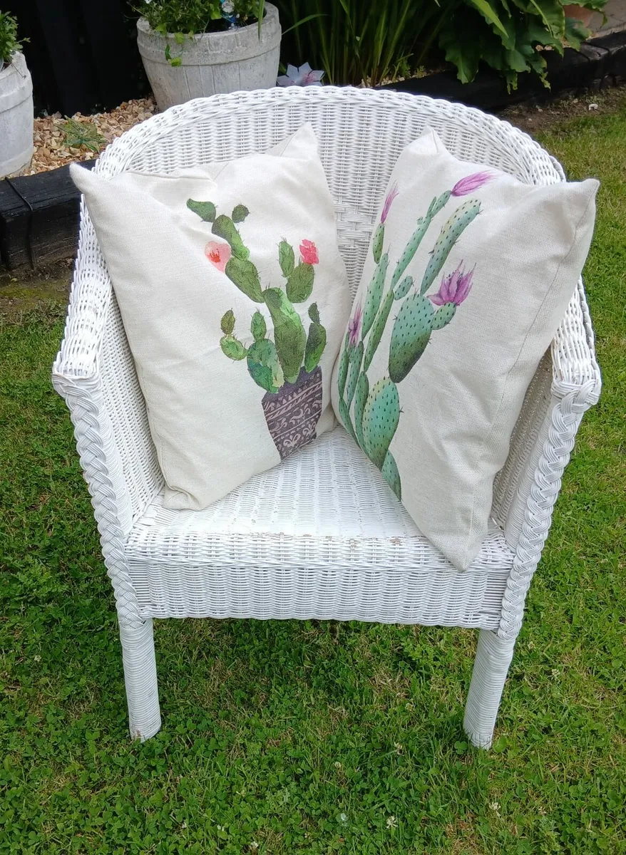Wicker Chair and cushions - Image 1
