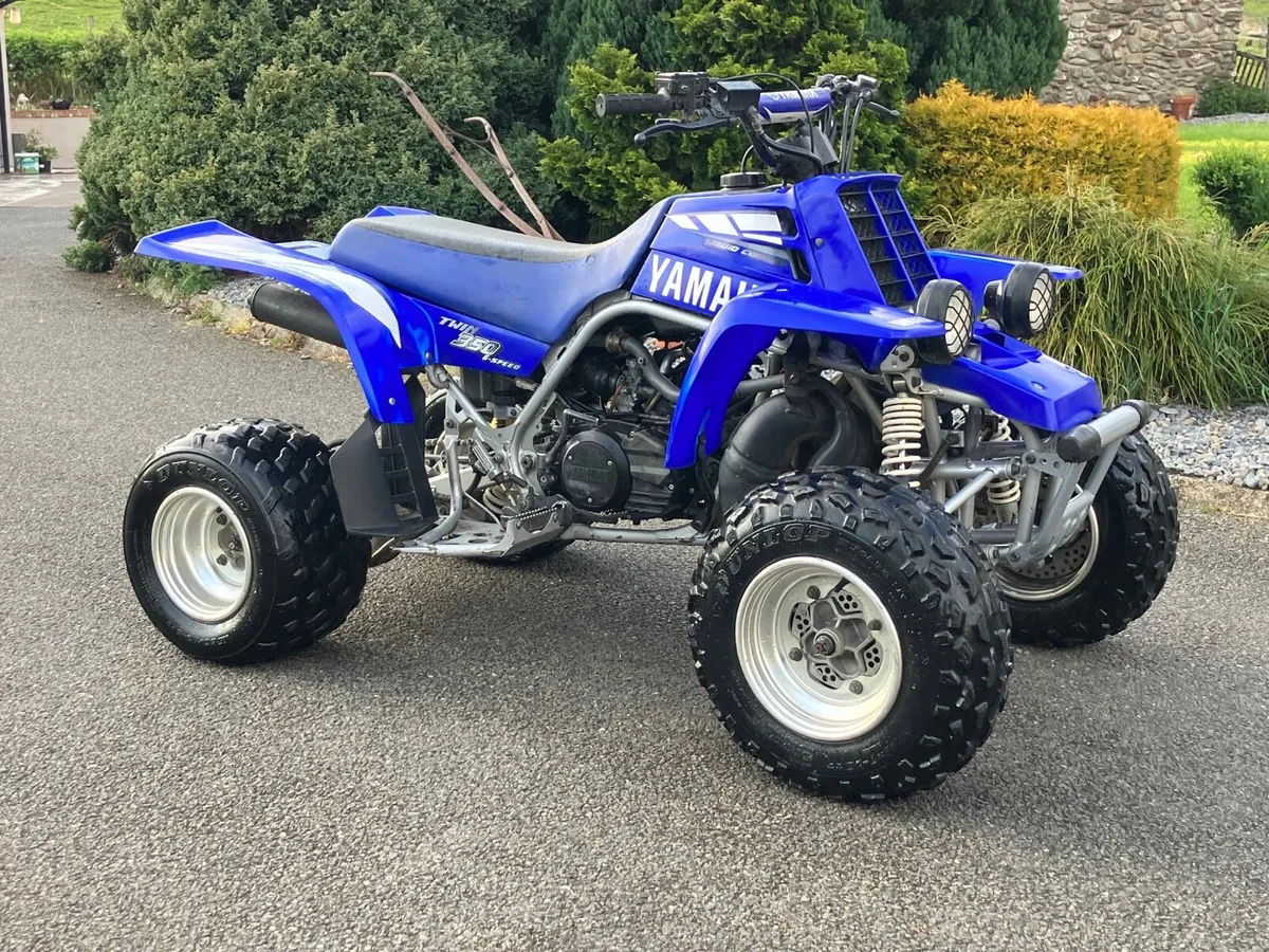 Yamaha banshee - Image 3