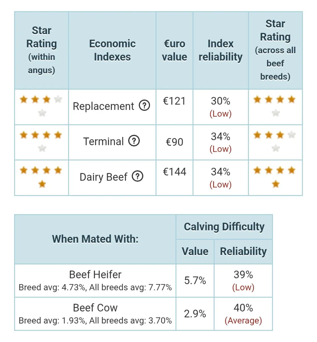 Quality Angus bull - Image 4