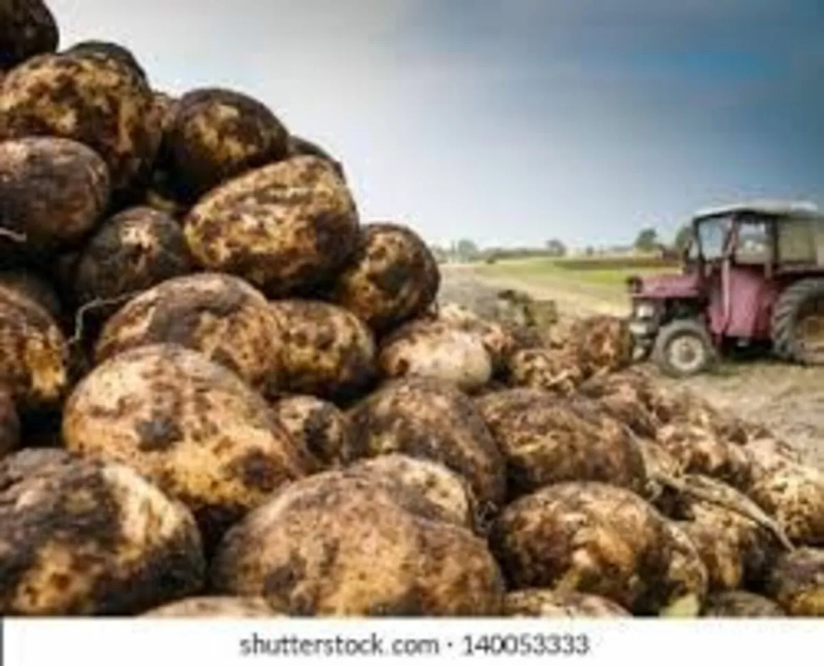 Poatoes