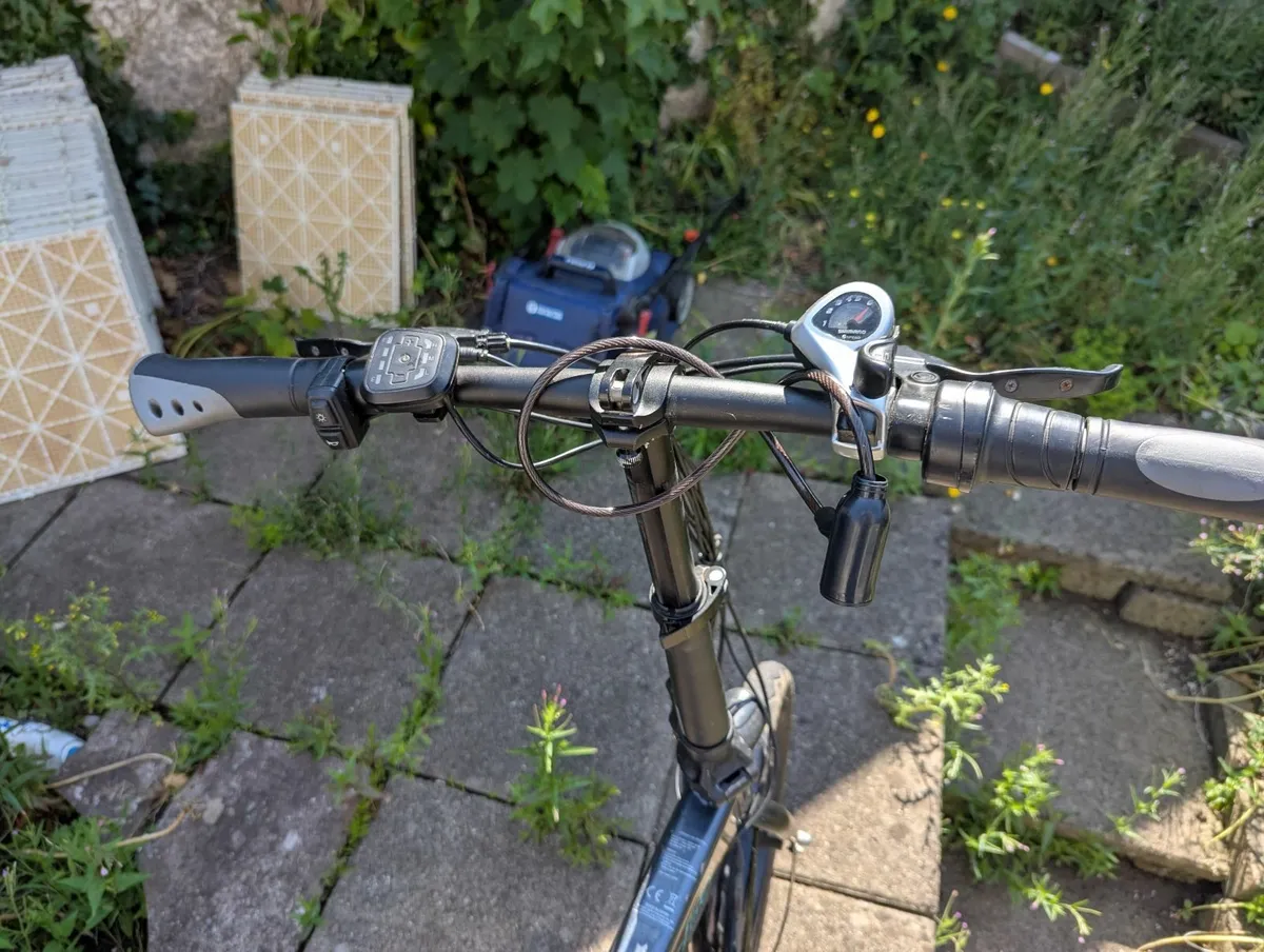 Electric Bike Fiido D2S(battery like new) - Image 2