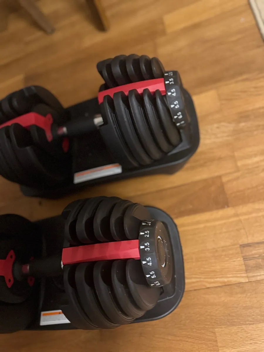 Dumbells + Bench + F.Gun - Image 2