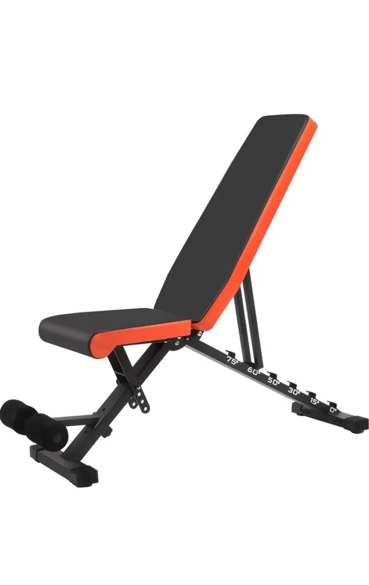 Dumbells + Bench + F.Gun - Image 3