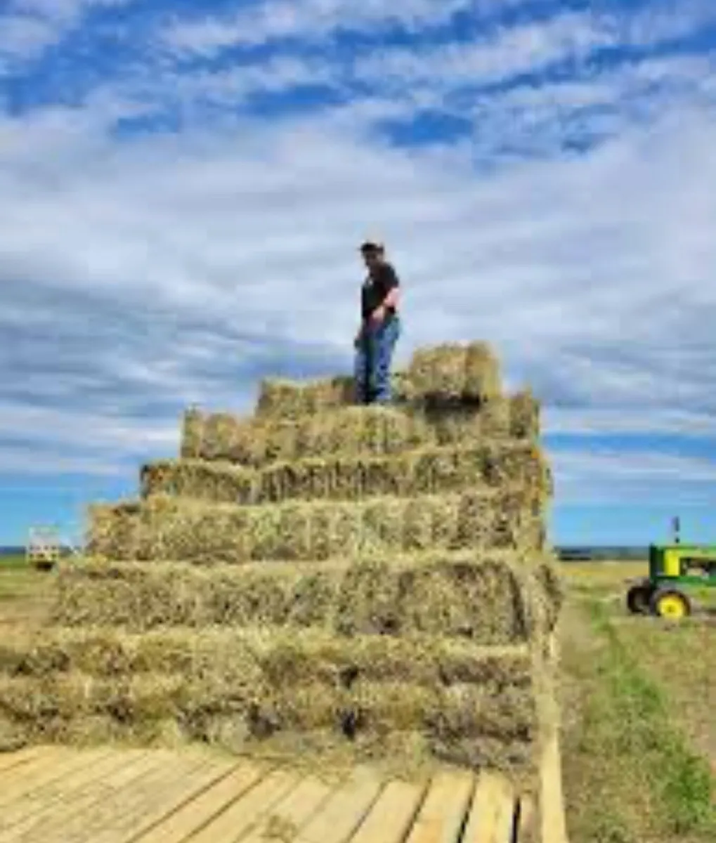 Small Square Bales