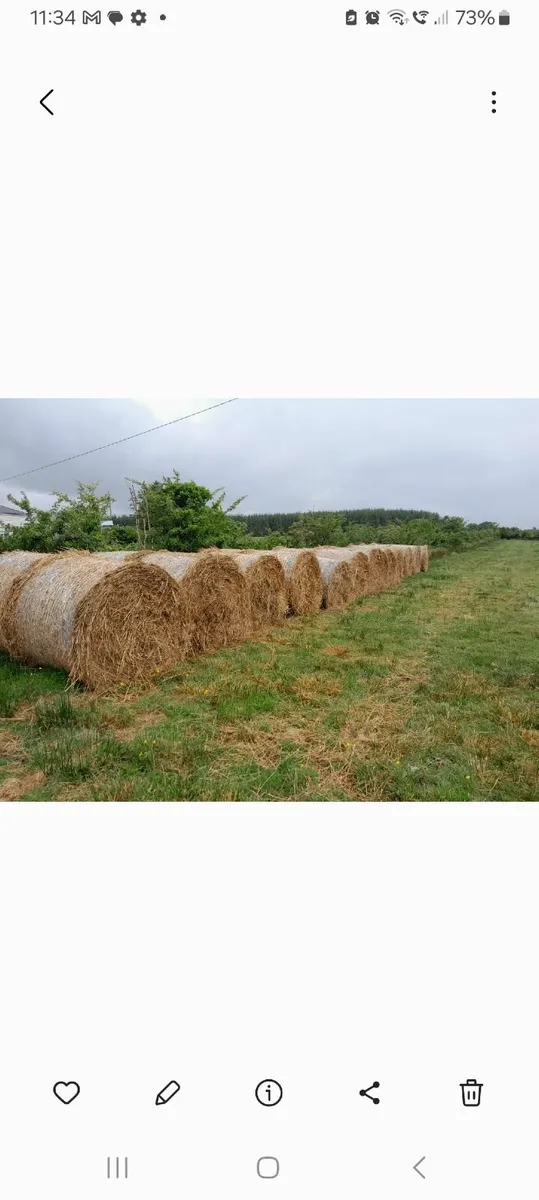 Bales od Rushes Organic