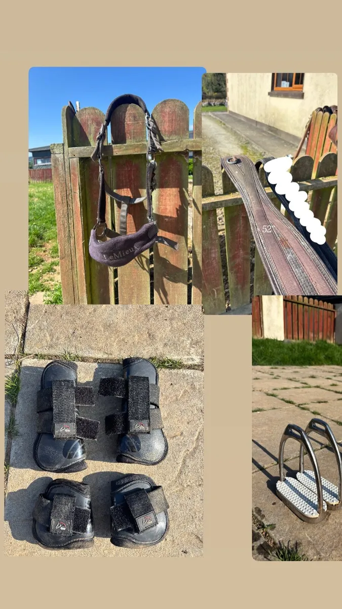 horse tack + more - Image 2