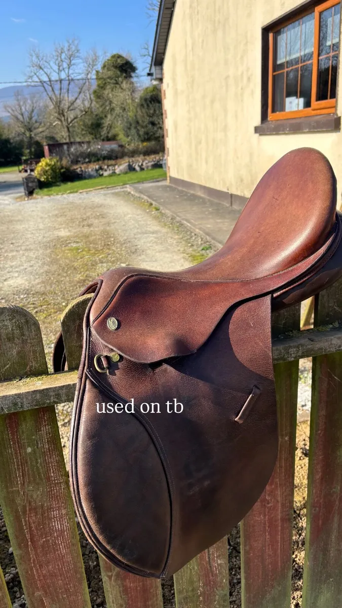 horse tack + more - Image 3
