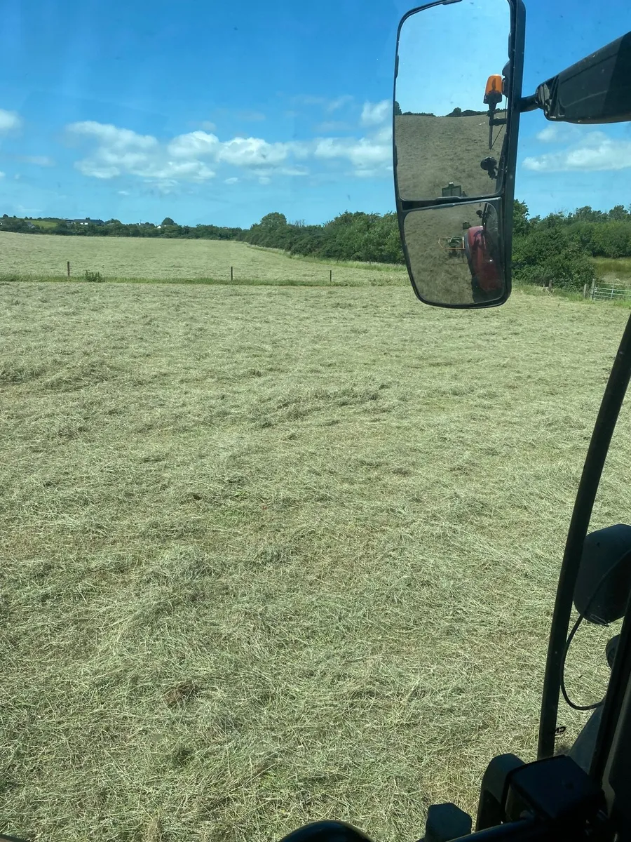 2025 hay - Image 2