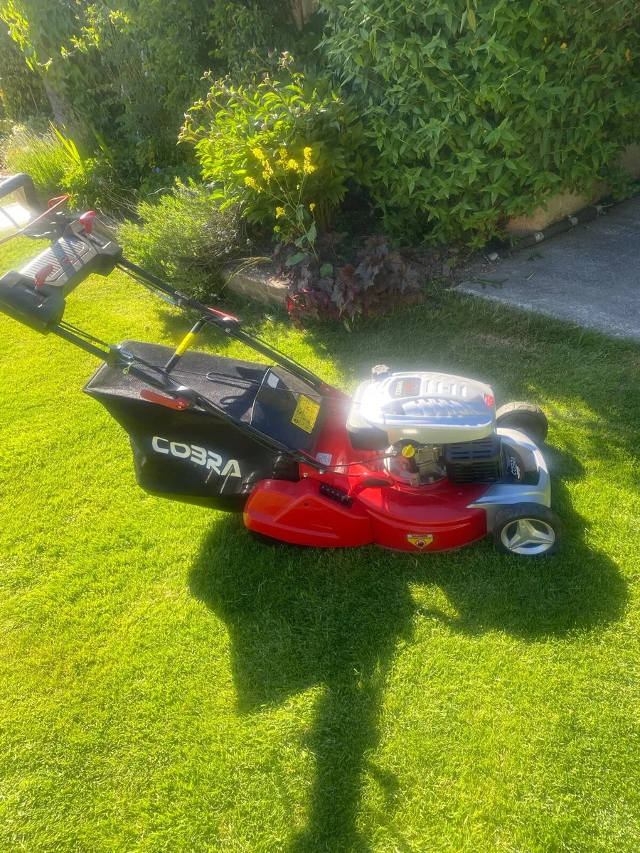 Lawnmower - Image 1