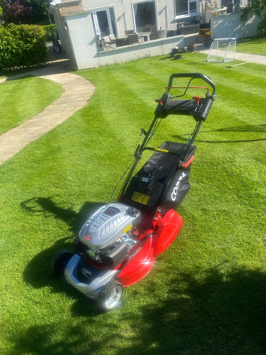Lawnmower - Image 3