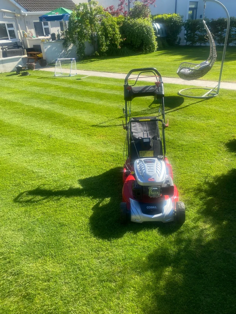 Lawnmower - Image 4