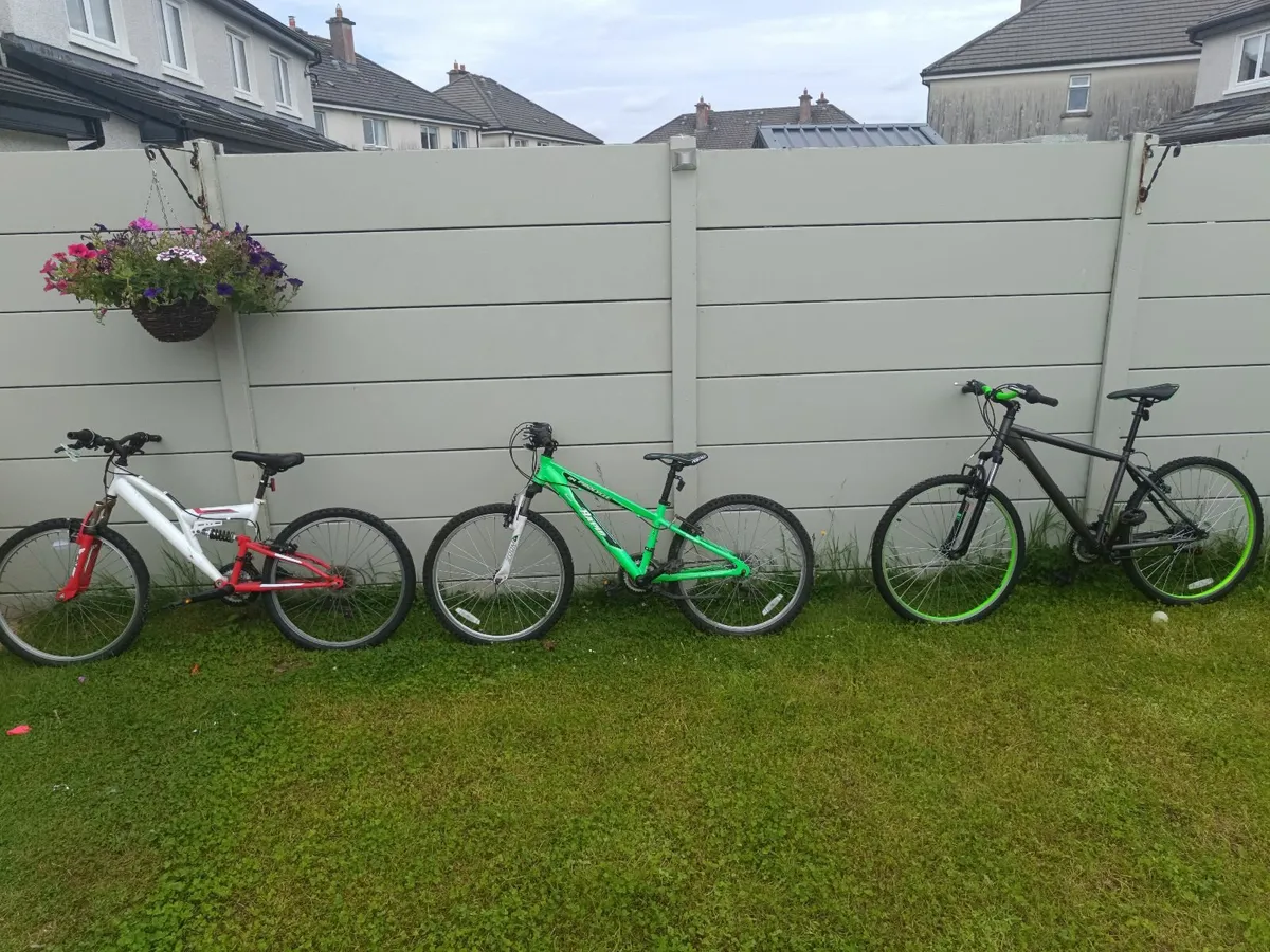 Bicycles - Image 3
