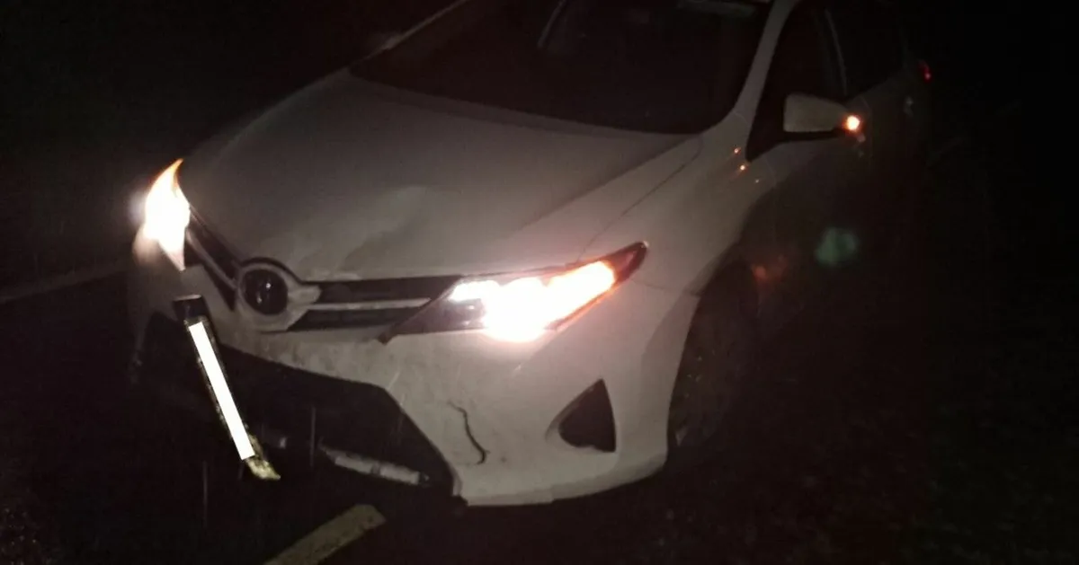 Toyota Auris Van - Image 4