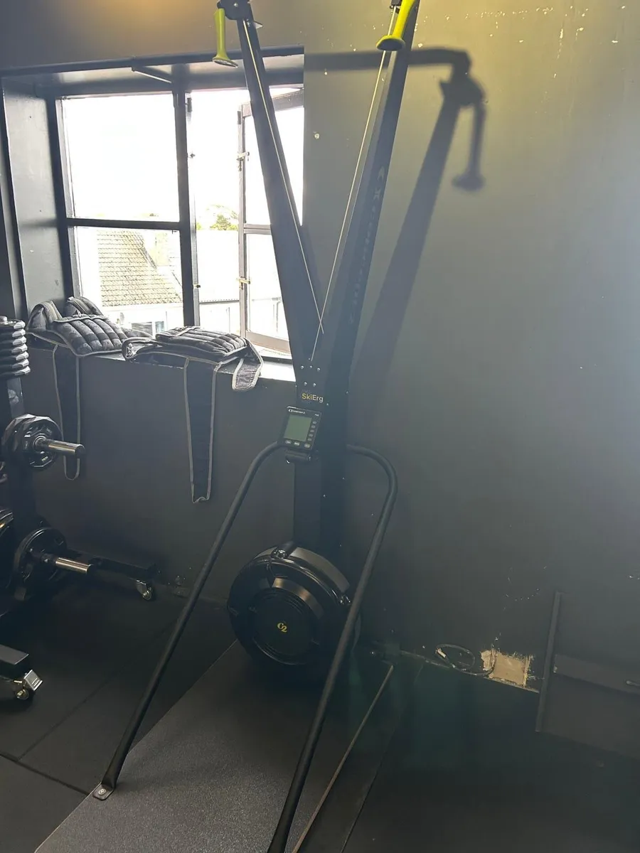 Concept 2 Skierg with stand