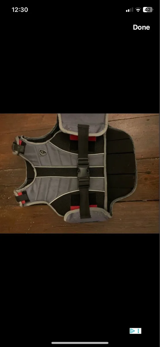 Back protector - Image 1