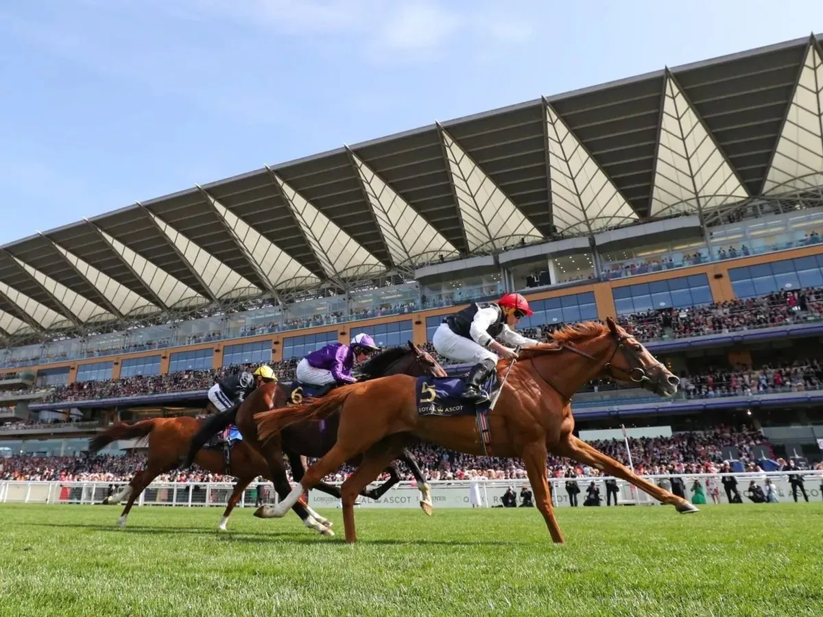 Flat Racehorse Trainer UK - Image 1