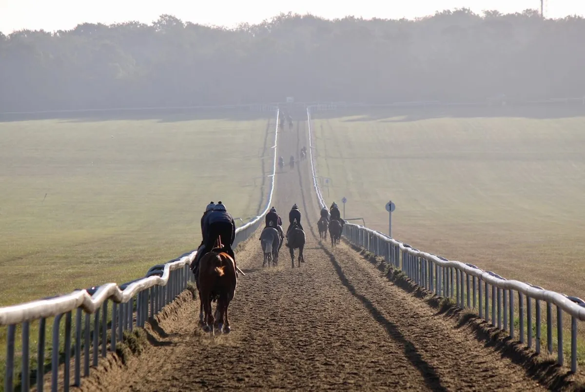 Flat Racehorse Trainer UK - Image 2