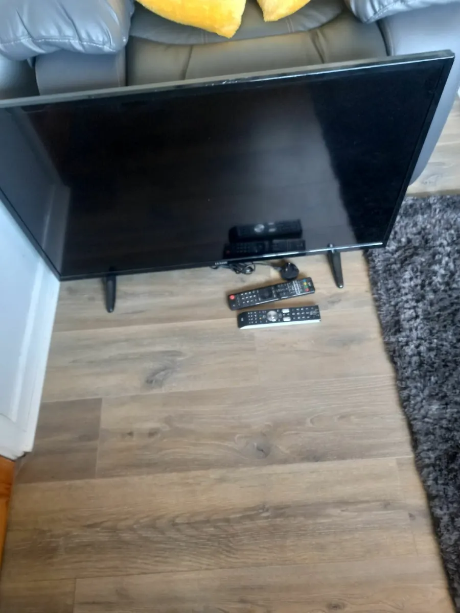 Fridge, TV and front door - Image 3