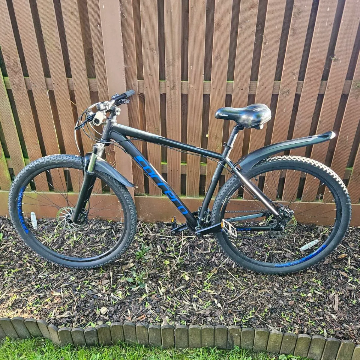 Carrera Hellcat L - Image 1