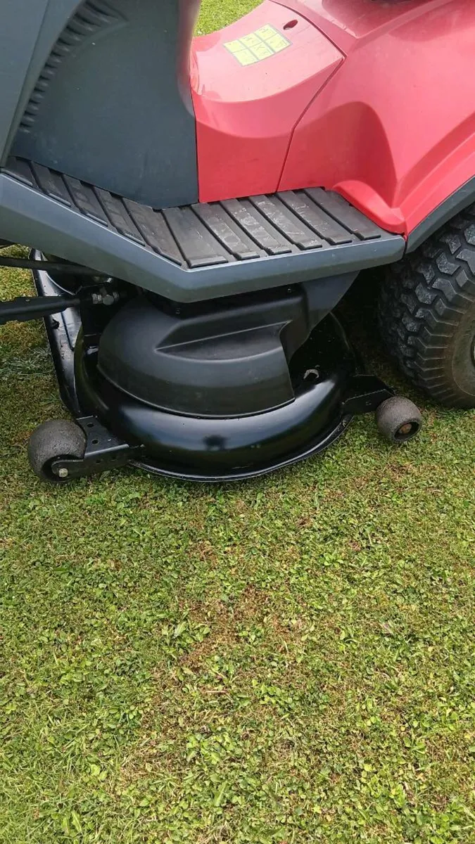 Castlegarden Briggs engine - Image 4