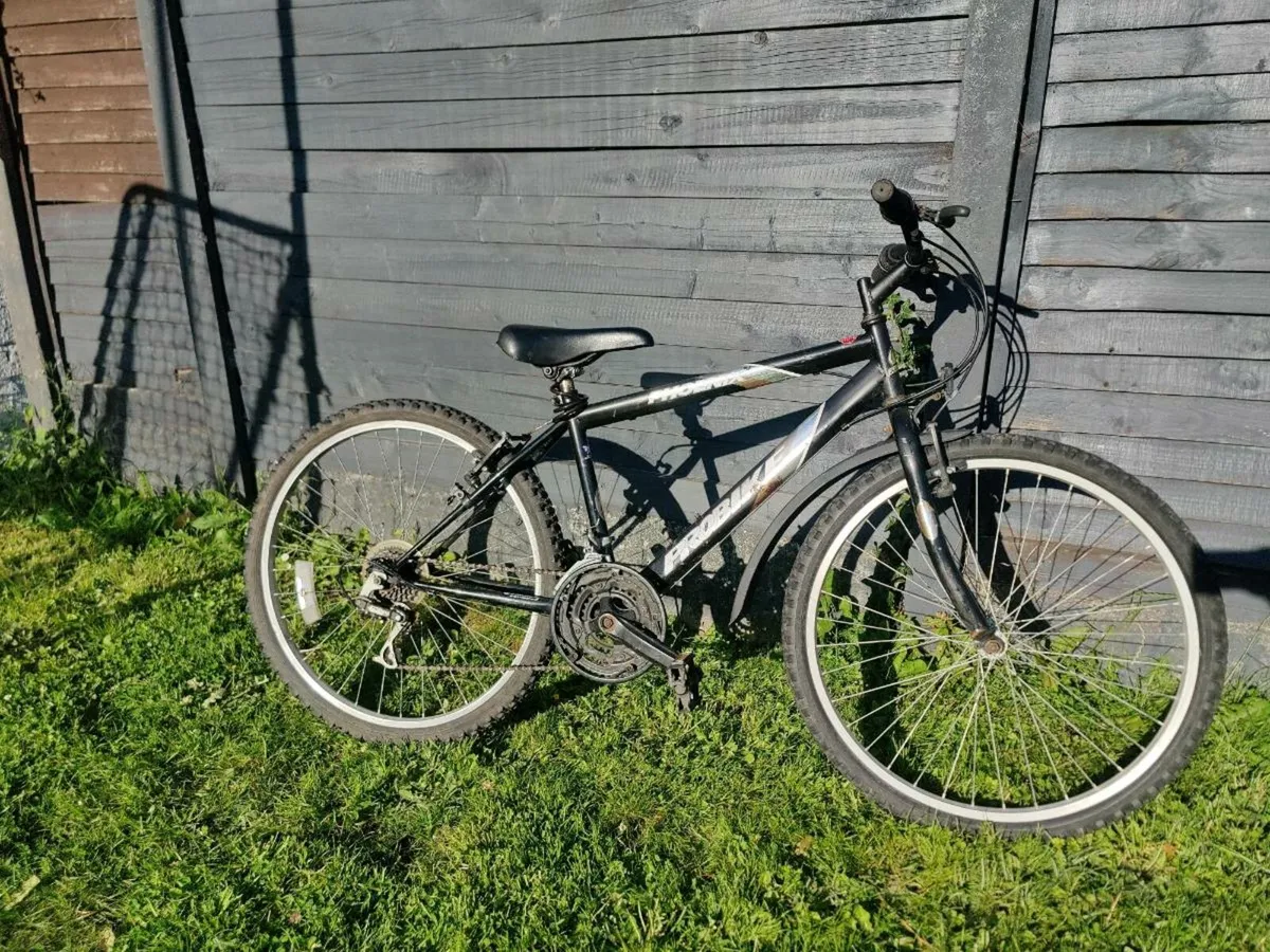 Probike Phoenix Mountain Bike – Ready to Ride - Image 1