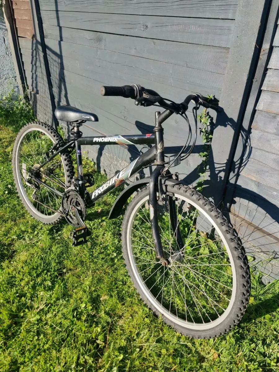 Probike Phoenix Mountain Bike – Ready to Ride - Image 2