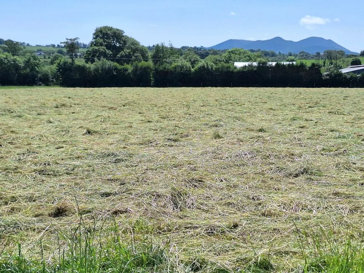 Hay and Silage - Image 1