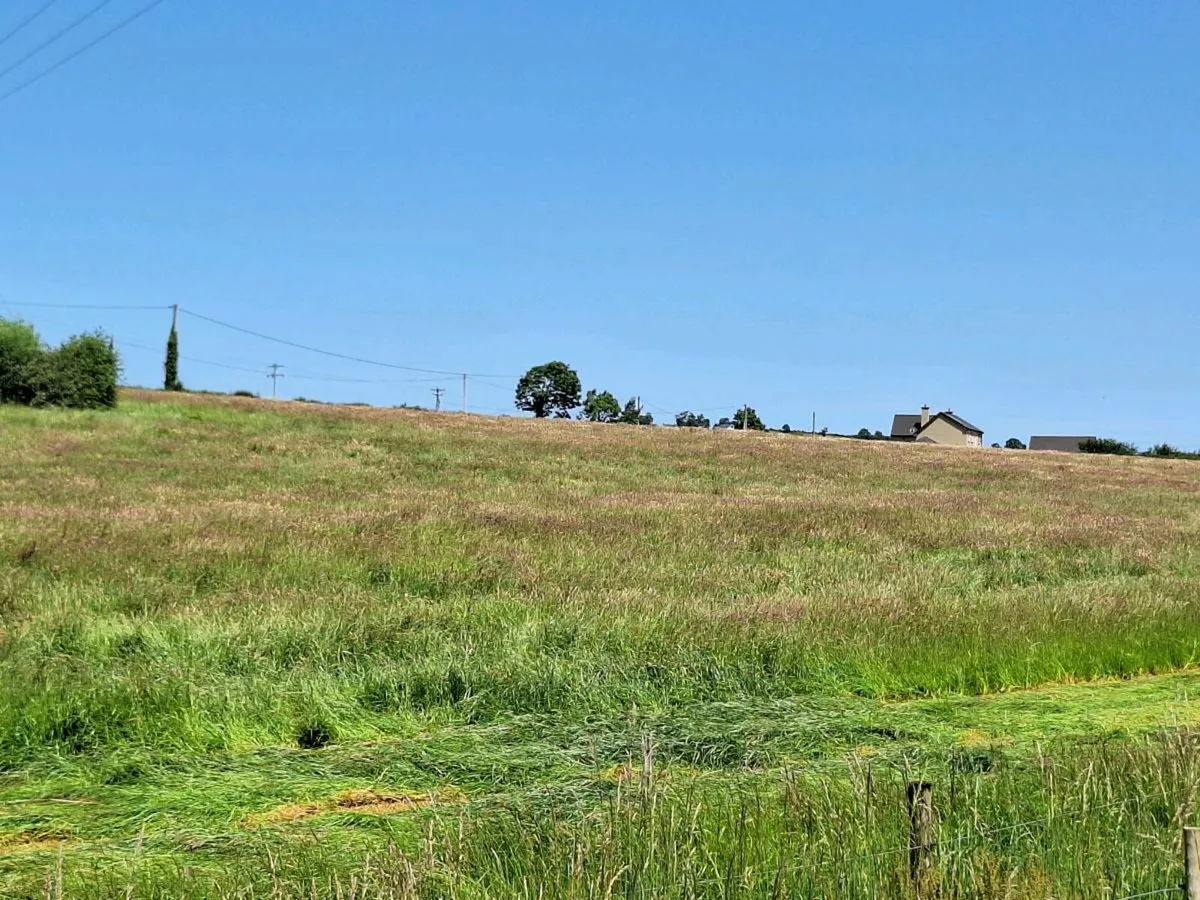 Hay and Silage - Image 3