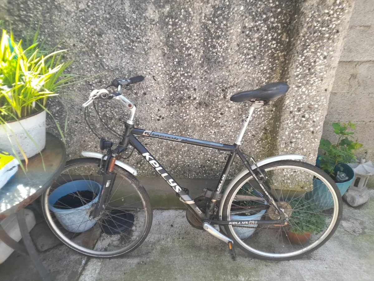 Kelly's lagoon Bicycle - Image 3