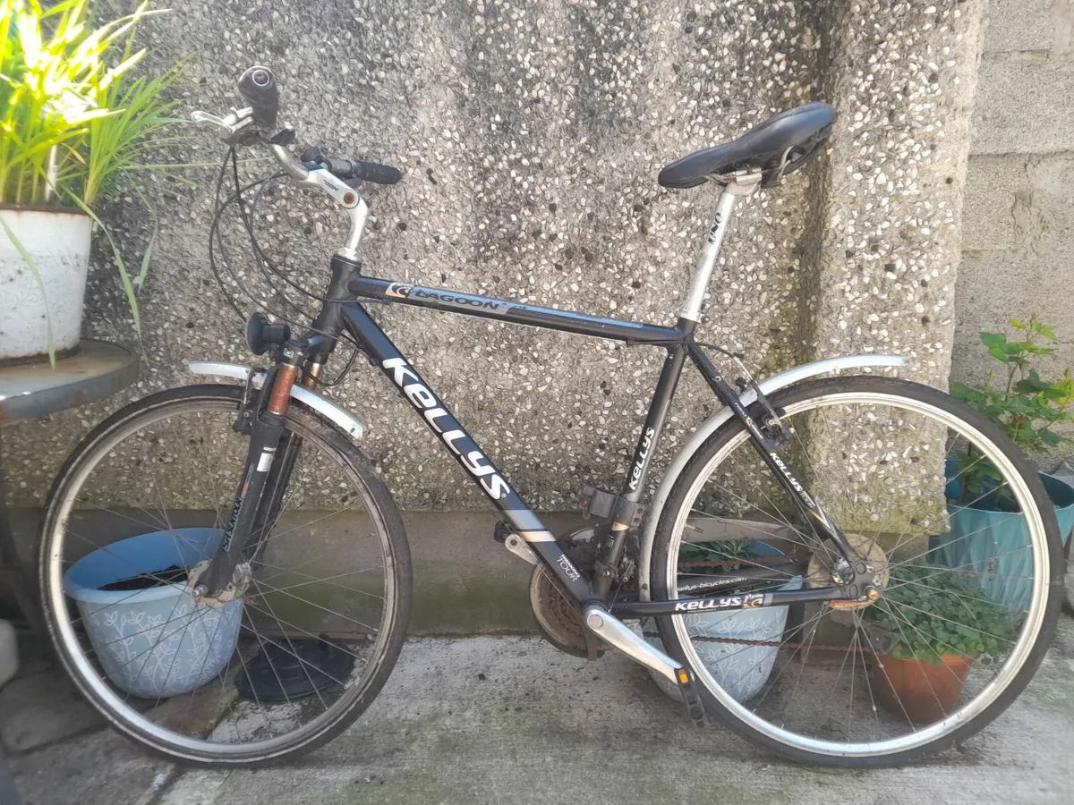 Kelly's lagoon Bicycle - Image 4
