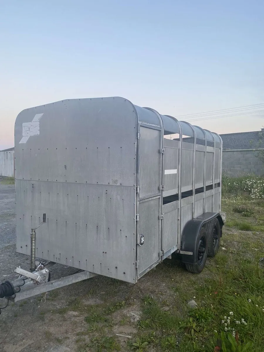 12x6 for Williams livestock trailer - Image 3