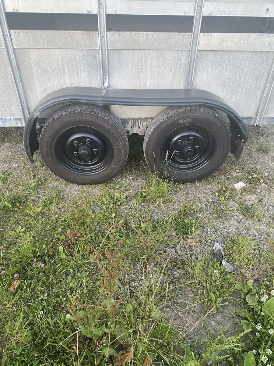12x6 for Williams livestock trailer - Image 4
