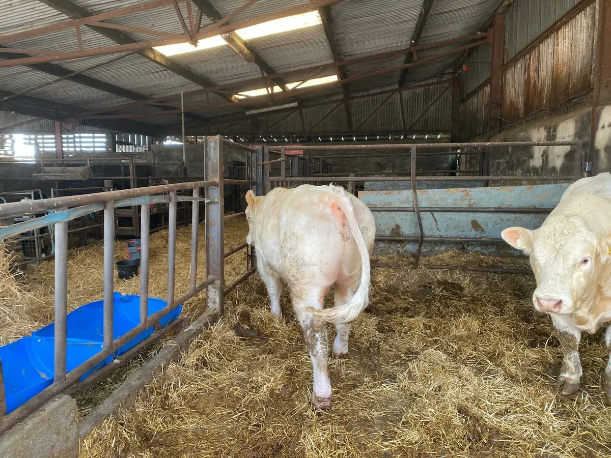 Farming - Image 1