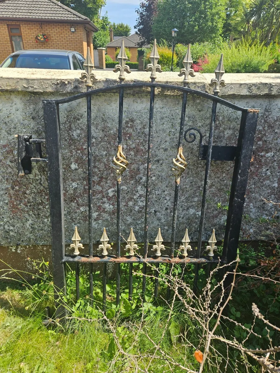 Iron Gates, main gate and side gate - Image 3
