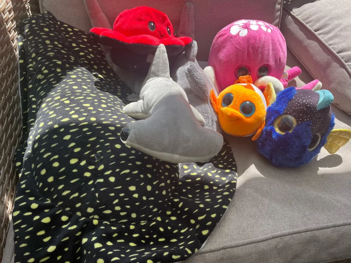 Bunch of teddies - Image 1