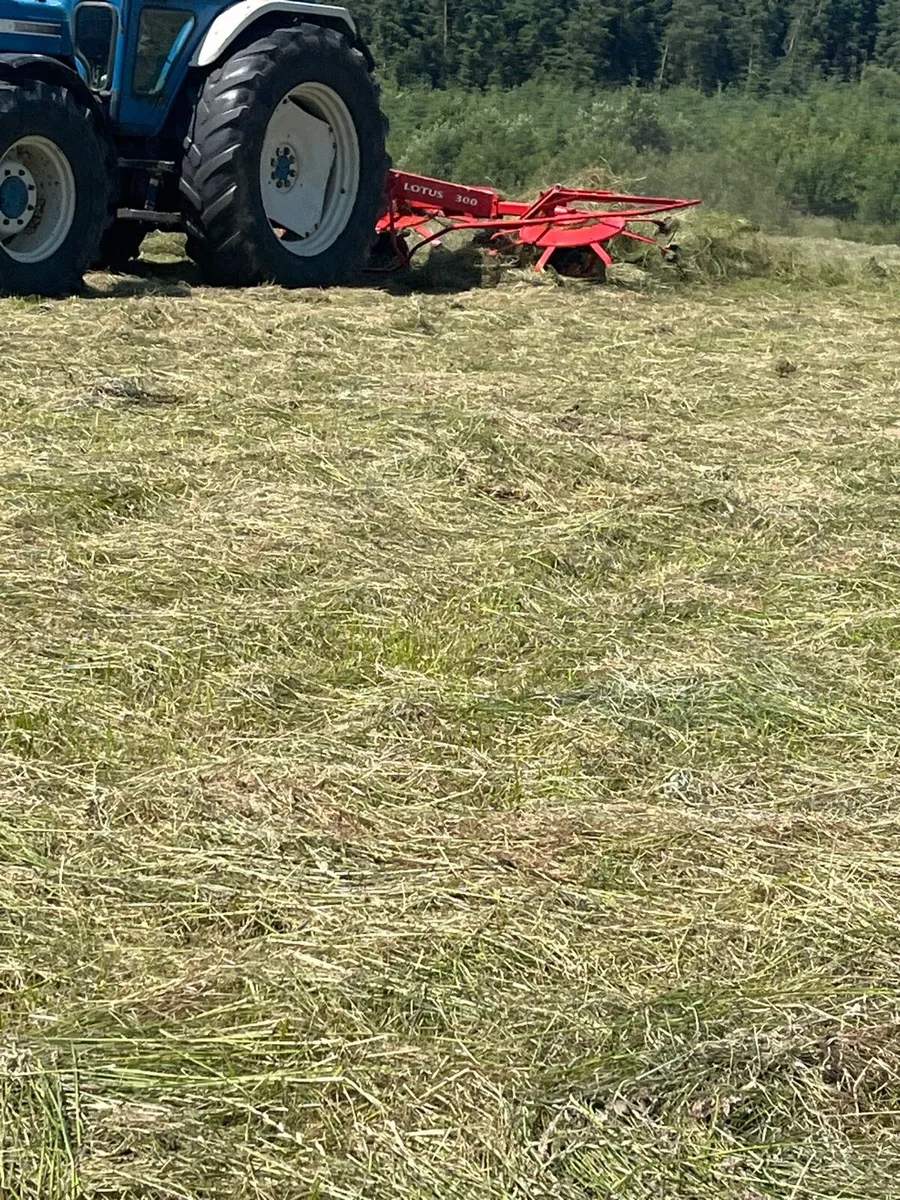 25 Hay - Image 1