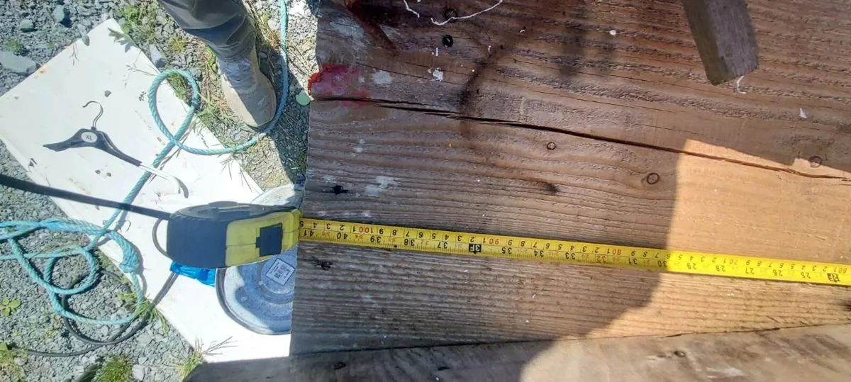 Timber - Image 2