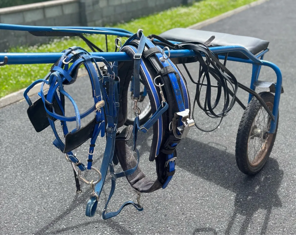 Sulky and Harness - Image 1