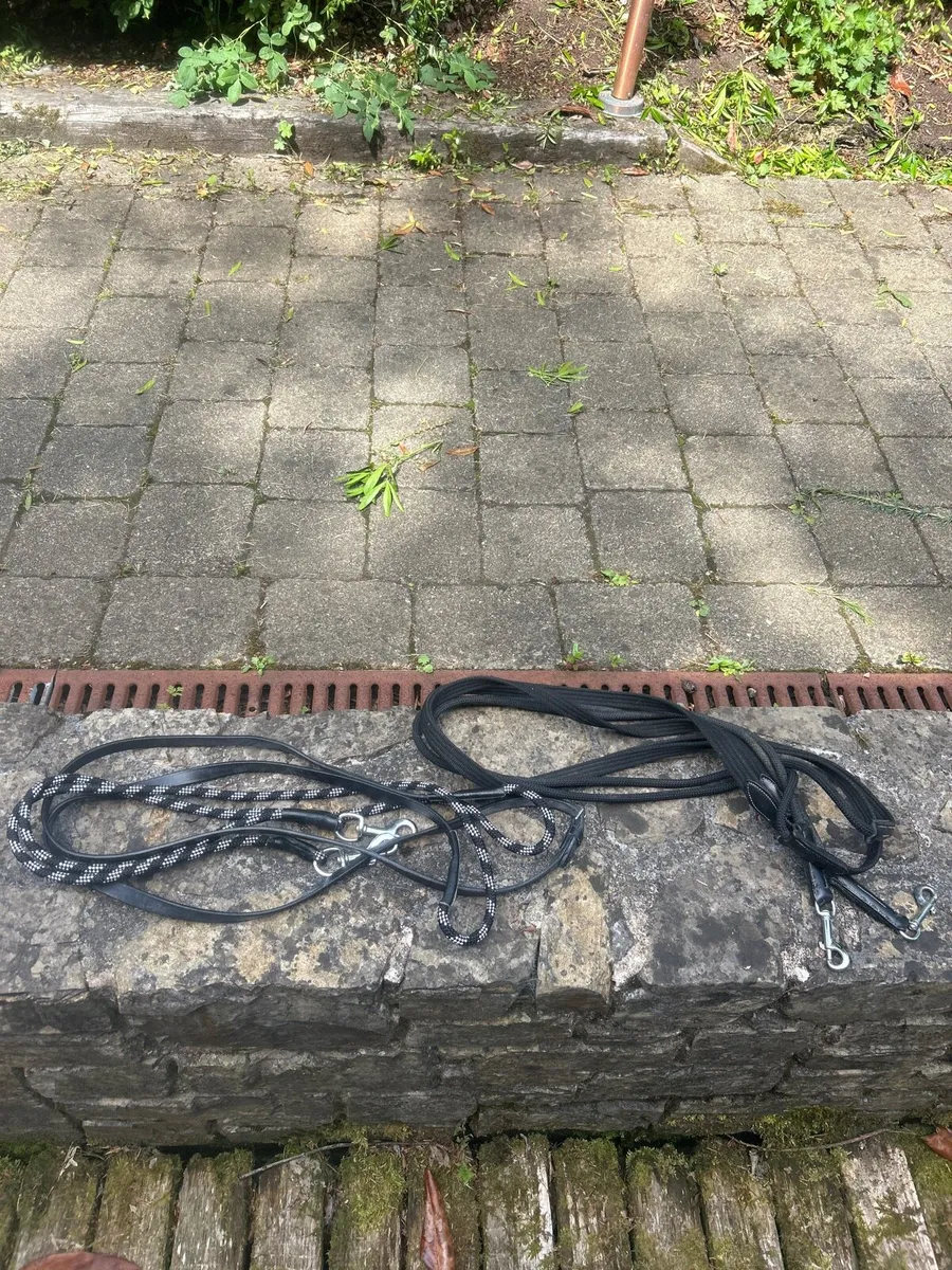 Draw Reins