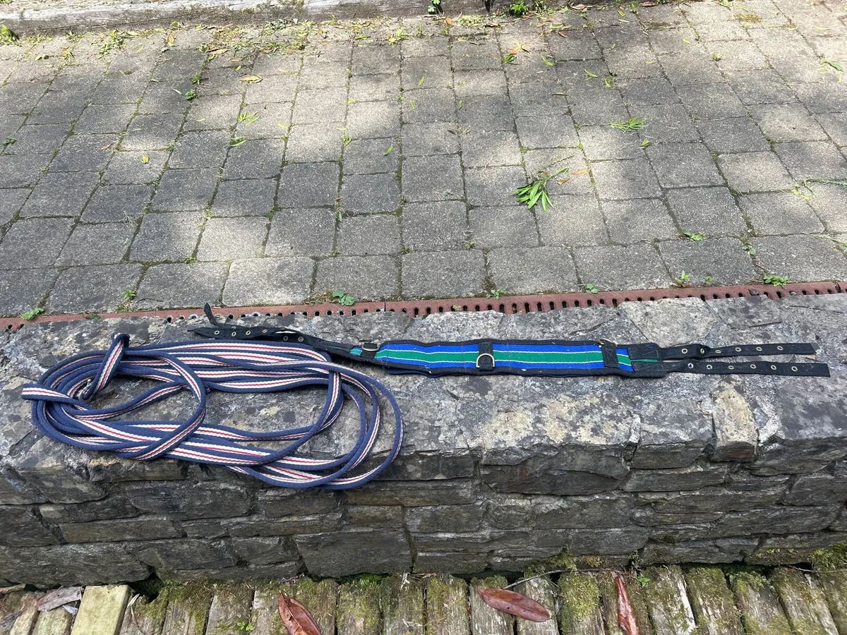Lunge Rope and Roller