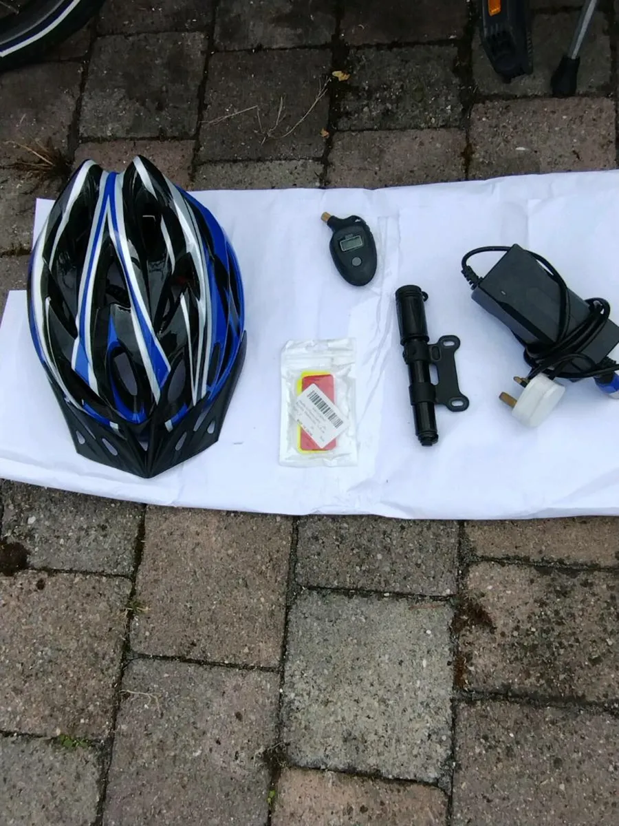 Electric Bike - Image 2