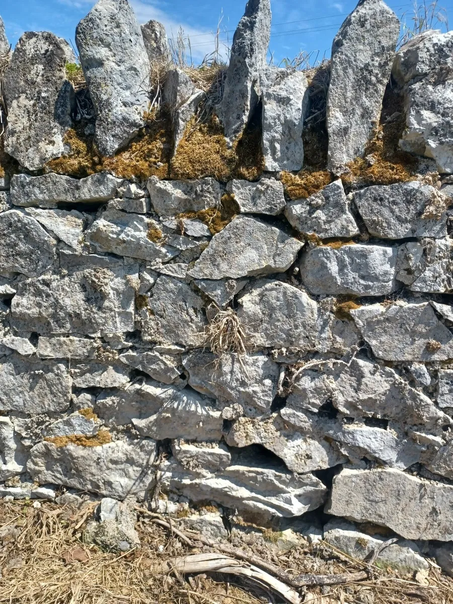 Building stone - Image 4
