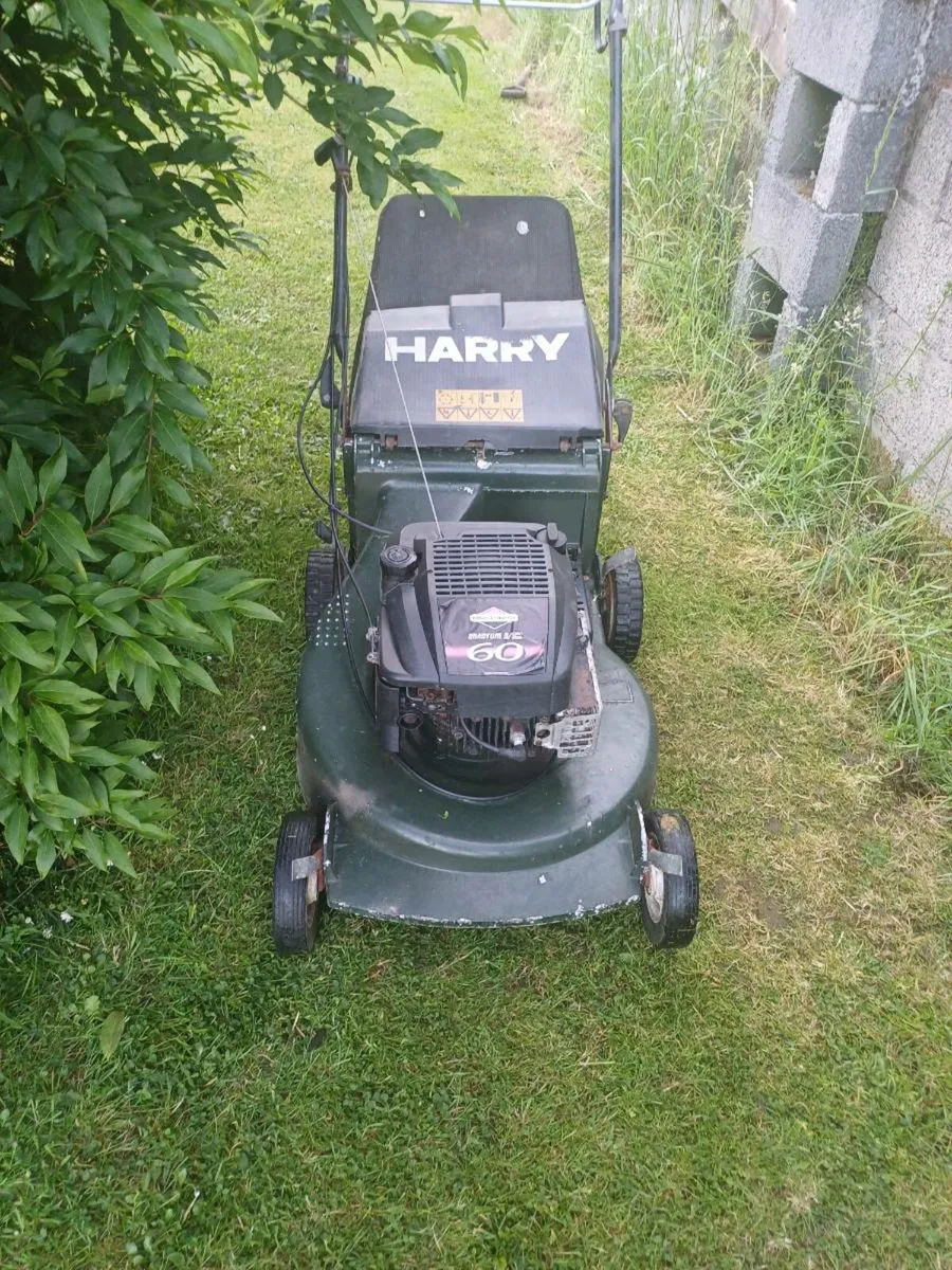 Self drive mower.
