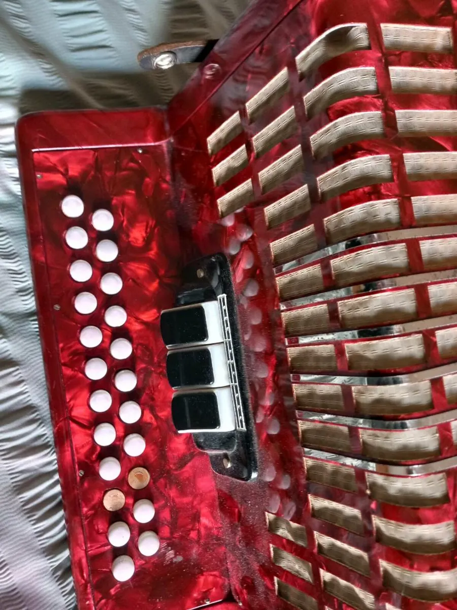 Button accordion - Image 1