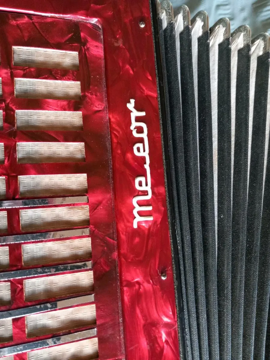 Button accordion - Image 2
