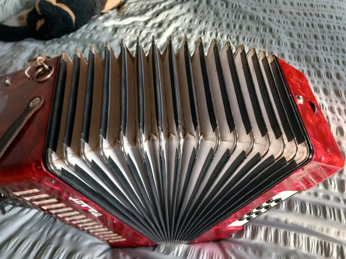 Button accordion - Image 3