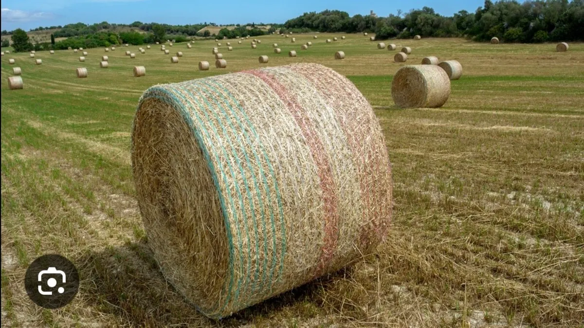 Round Bales for Sale