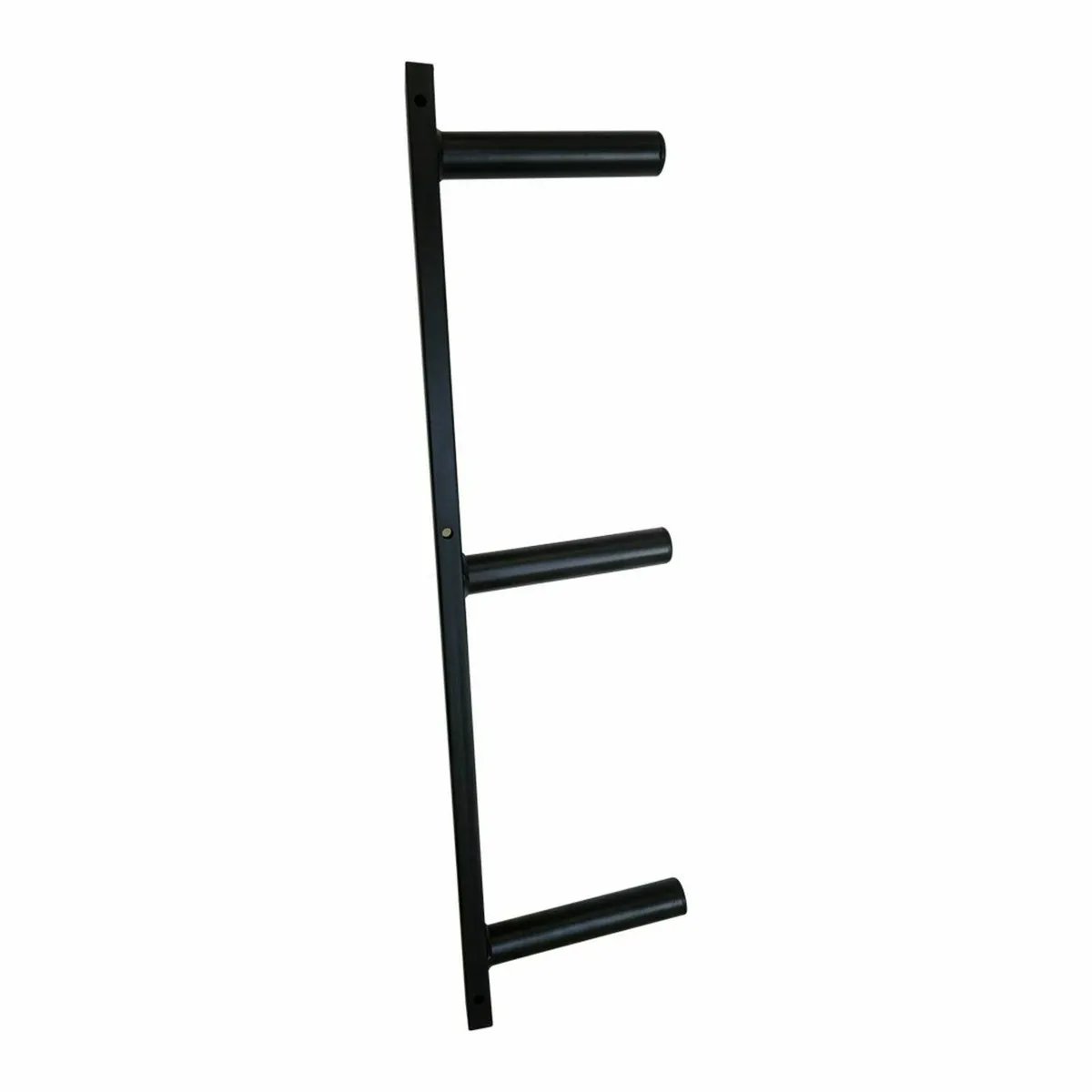Olympic Weight Plate Wall Storage Rack - Bumpers - Image 1