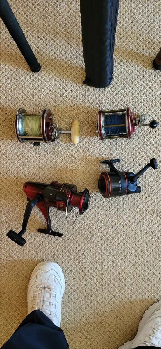 Fishing Rods and Reels - Image 4